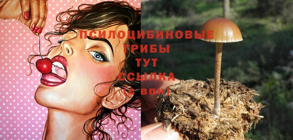 мдпв Куйбышев